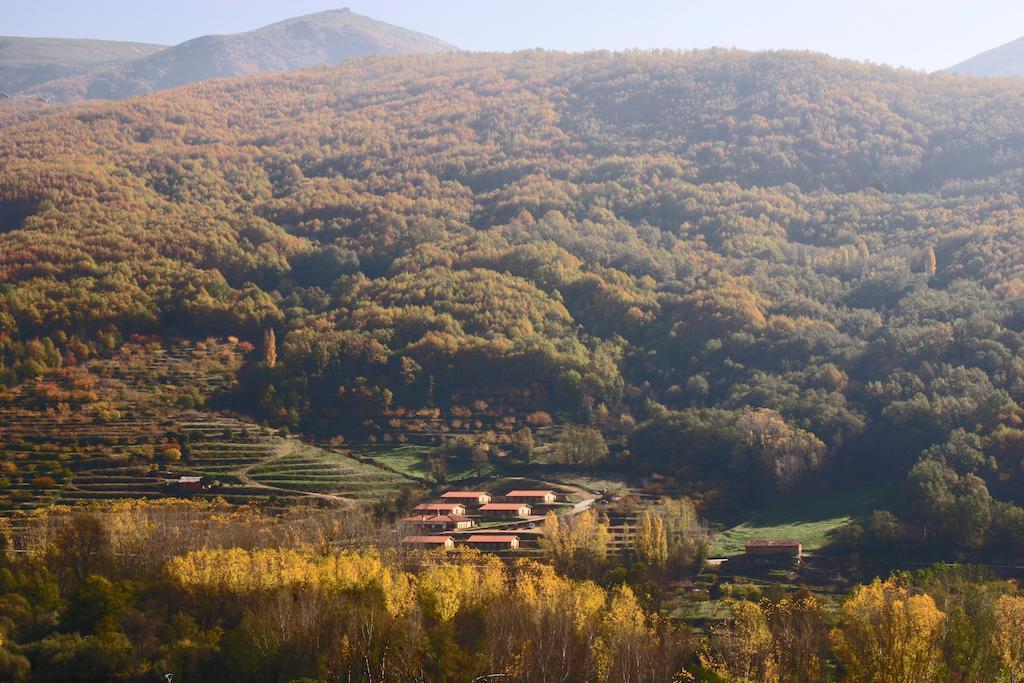 Apartamentos Rurales La Vega Del Херте Экстерьер фото